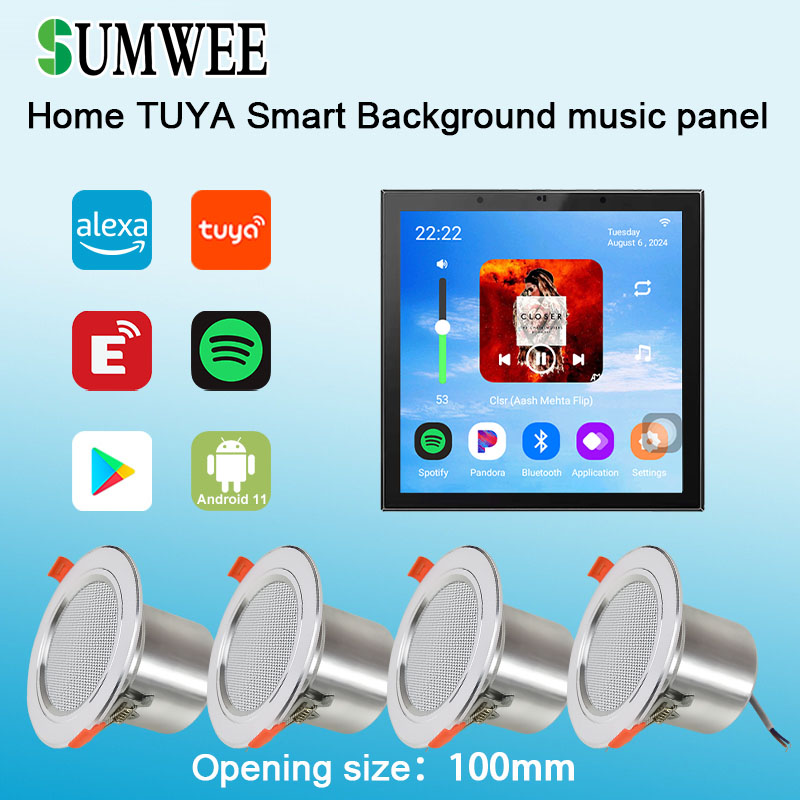 Amplificador de Pared con Alta - Audio Music Background Free reseña y precio