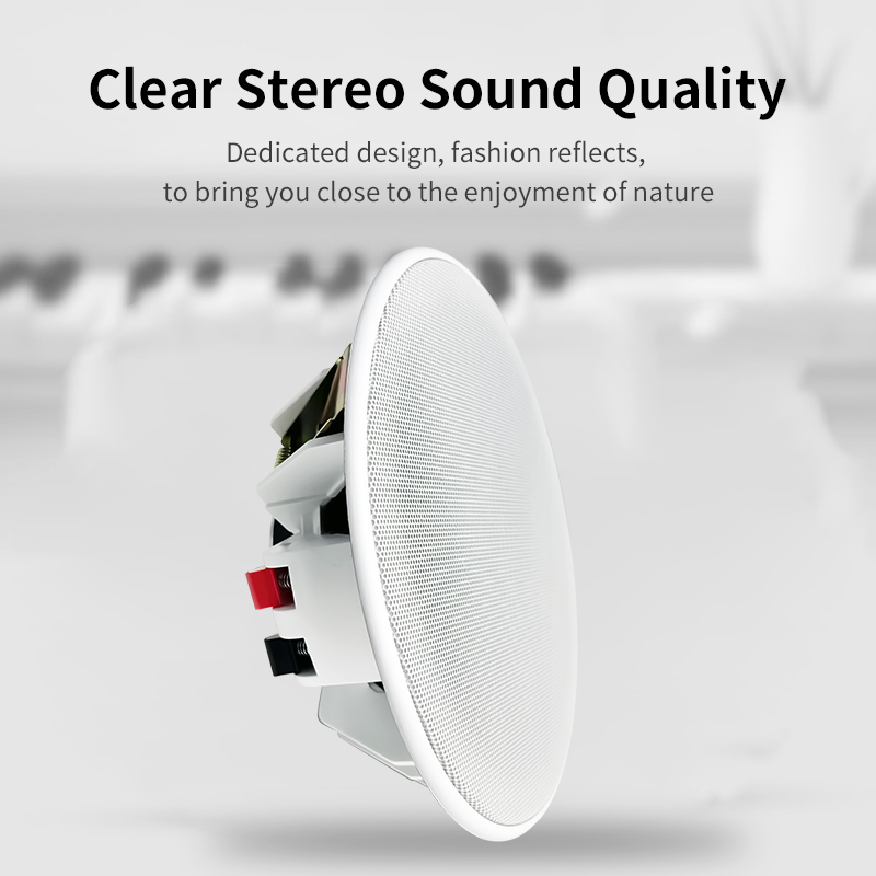 Altavoz de Techo de 6 Pulgadas - Audio Music Background Free reseña y precio