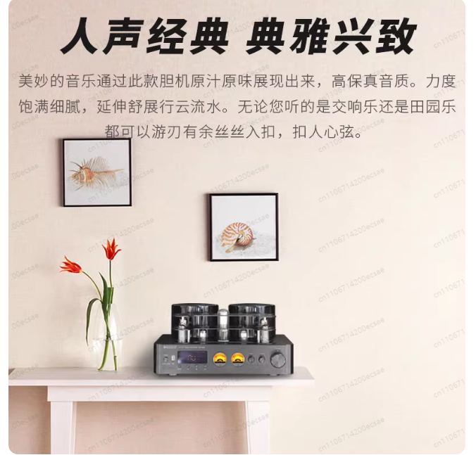 Amplificador de Potencia de Tu - Audio Music Youtube reseña y precio